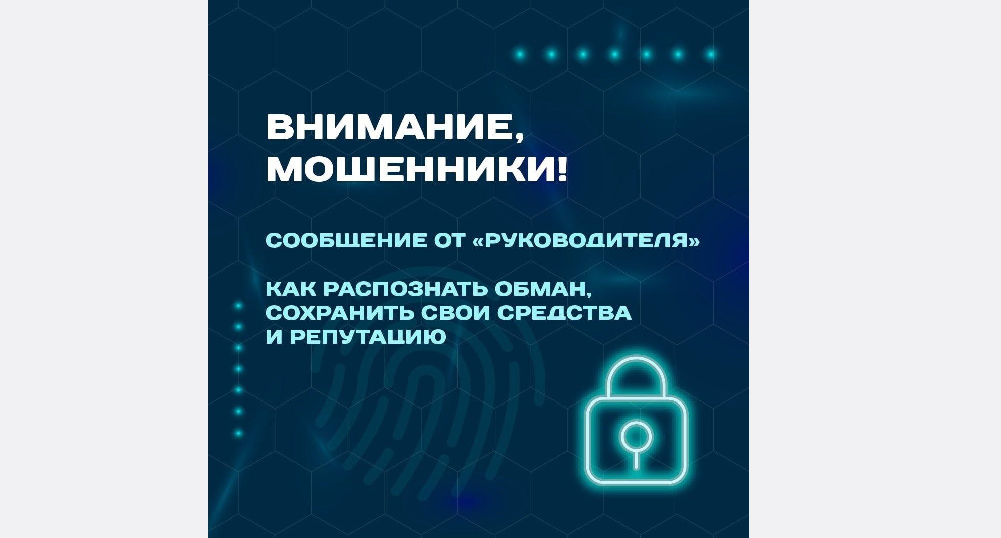 Изображение WhatsApp 2024-11-22 в 13.31.00_10764cca.jpg